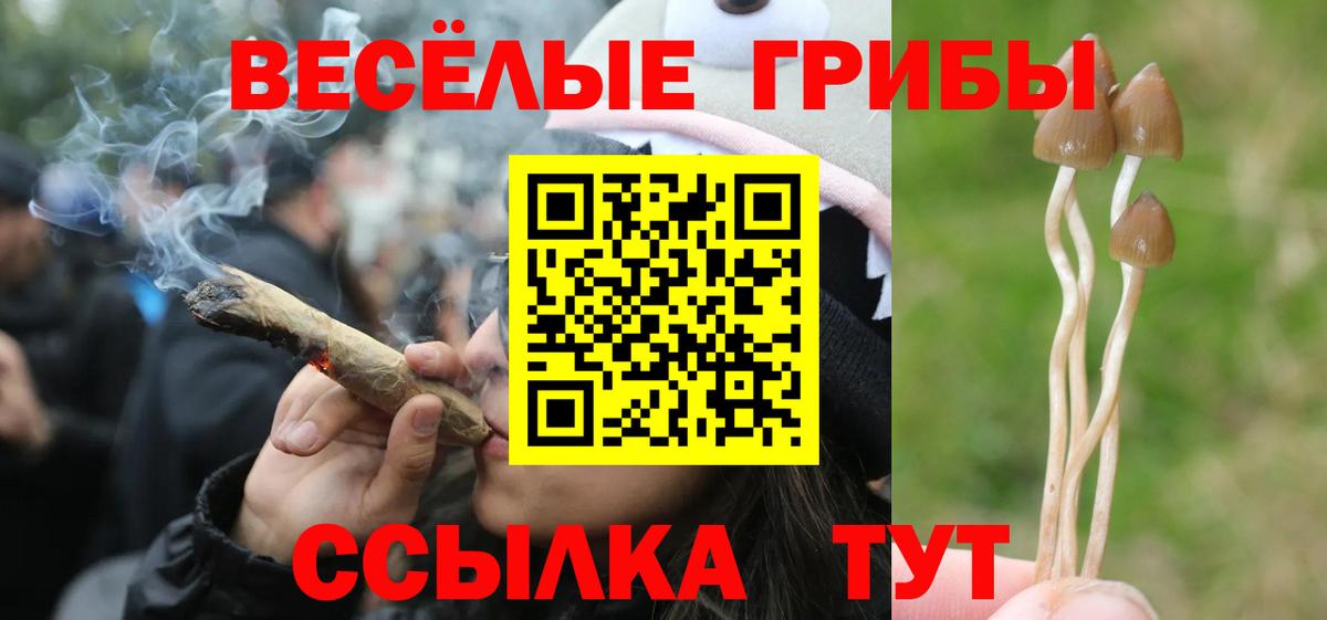 Галлюциногенные грибы мицелий  Вход с VPN  Луховицы 